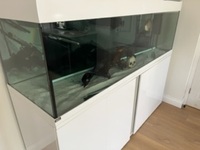 6ft x2x2 tank and cabinet for sale. £300