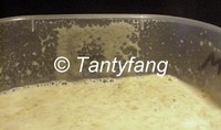 Live Food ~ Banana Worms & Walter Worms & Micro Worms