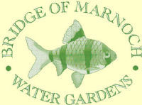Great choice of Tropical Fish, Marine Fish & Coldwater Fish HOME DELIVERY