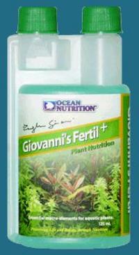 Are your aquarium plants growing as well as they could be?