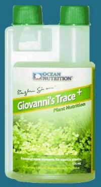 Are your aquarium plants growing as well as they could be?