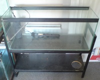 Various tanks and fish for sale in Forest of Dean