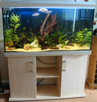 Rena Aquarium For Sale