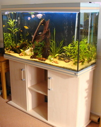 Rena Aquarium For Sale