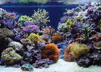 Cheap Prices On All Aquarium Reverse Osmosis Systems