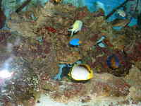 Complete Marine setup Midlands area