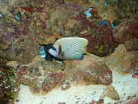 Complete Marine setup Midlands area