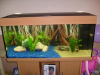 Juwel Rio 180 for sale Brand New