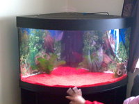 juwel trigon 190 corner fish tank with cabinet in black