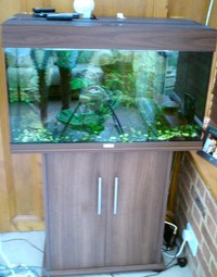 Juwel Rio 125 Aquarium & Cabinet