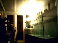 8 ft aquarium , 3mths old , splitting , all equip price lowered!!