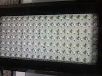 NEW LEDS IN AT SIMPLYSEAHORSES NEW PRICE