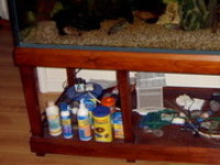 5ft by 2ft by 2ft custom made aquarium