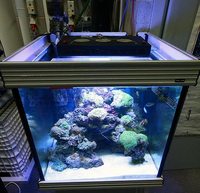 NEW LEDS IN AT SIMPLYSEAHORSES NEW PRICE