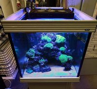 NEW LEDS IN AT SIMPLYSEAHORSES NEW PRICE