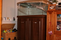 Tank/Stand/Sump for Sale 48x30x24