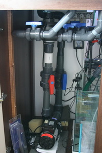 Tank/Stand/Sump for Sale 48x30x24