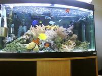 marine fish and equiptment.