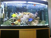 marine fish and equiptment.