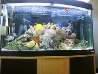 marine fish and equiptment.