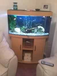 Juwel Vision 180 fishtank + cabinnet + accessories in beech, excellent condition