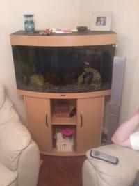 Juwel Vision 180 fishtank + cabinnet + accessories in beech, excellent condition