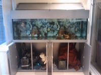6by2by2 Lovely Metallic Silver Tank, Cabinet & Hood