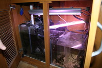 5ft Tank with stand and hood