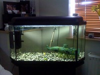 Fish Tank with Matching Cabinet For Sale in Excellent Condition £250ono
