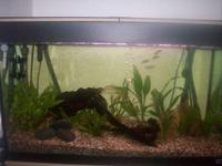 Fluval Tropical Aquarium & Accessories
