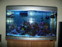 AquaOne MariSys marine reef aquarium with fish & coral £250