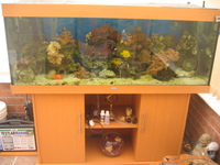 MARINE SET UP FOR SALE