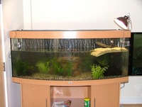 Jewel Vision 450 and Fluval FX5 External Filter