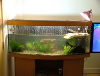 Jewel Vision 450 and Fluval FX5 External Filter