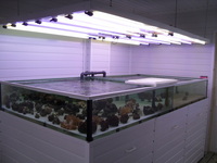 Marine-Life South-West (TheFragMan)