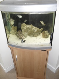 Marine Fish Tank Setup & Cabinet With Fish & Live Rock