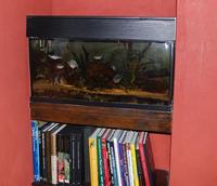 3 tropical systems for sale