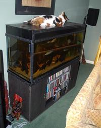 3 tropical systems for sale