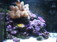 Marine D&D 28G Nano