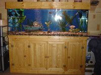 Beautiful Handmade pine aquarium cabinets (made to order)