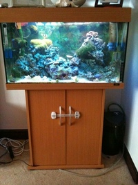 Complete Marine Setup for Sale