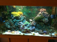 Complete Marine Setup for Sale