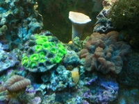 Complete Marine Setup for Sale