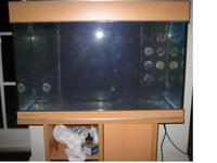 AQUA MEDIC PERCULA 90 COMPLETE (BEECH) £250