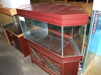 Clearance sale of second hand Aquariums stand and equipment .