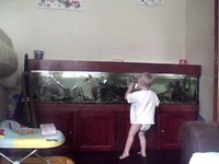 7ft tank with everything asking 300