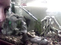 7ft tank with everything asking 300