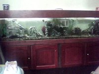 7ft tank with everything asking 300