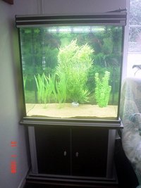 High shaped 264 ltr Aquatlantis tank and accessories for sale