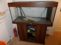 Juwel rio 180 aquarium and stand plus kit for sale £175